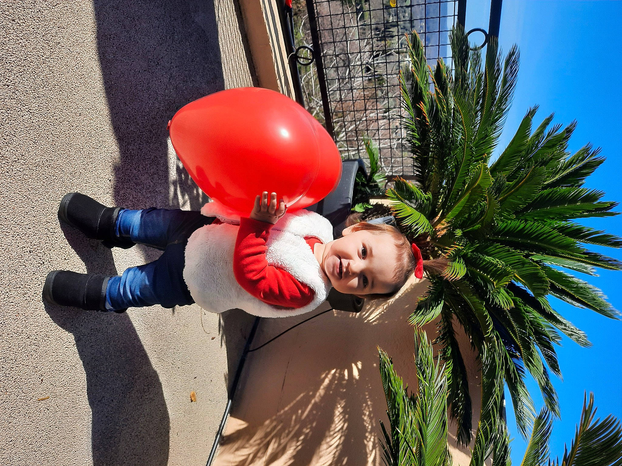 Tiana participe au concours pour gagner de l'argent avec cette photo : arecales, carmine, christmas_decoration, conifer, event, evergreen, fir, fun, grass, happy, holiday, holiday_ornament, leisure, ornament, palm_tree, people_in_nature, person, plant, sky, toddler