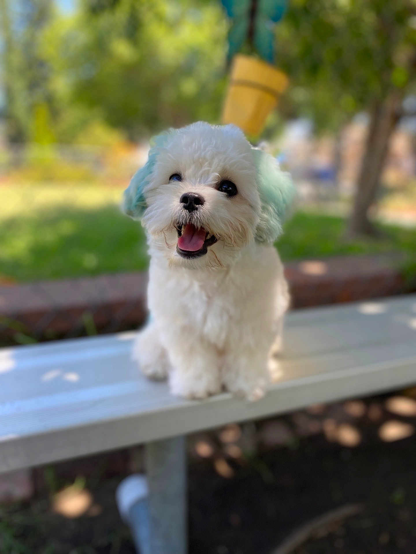Berlioz