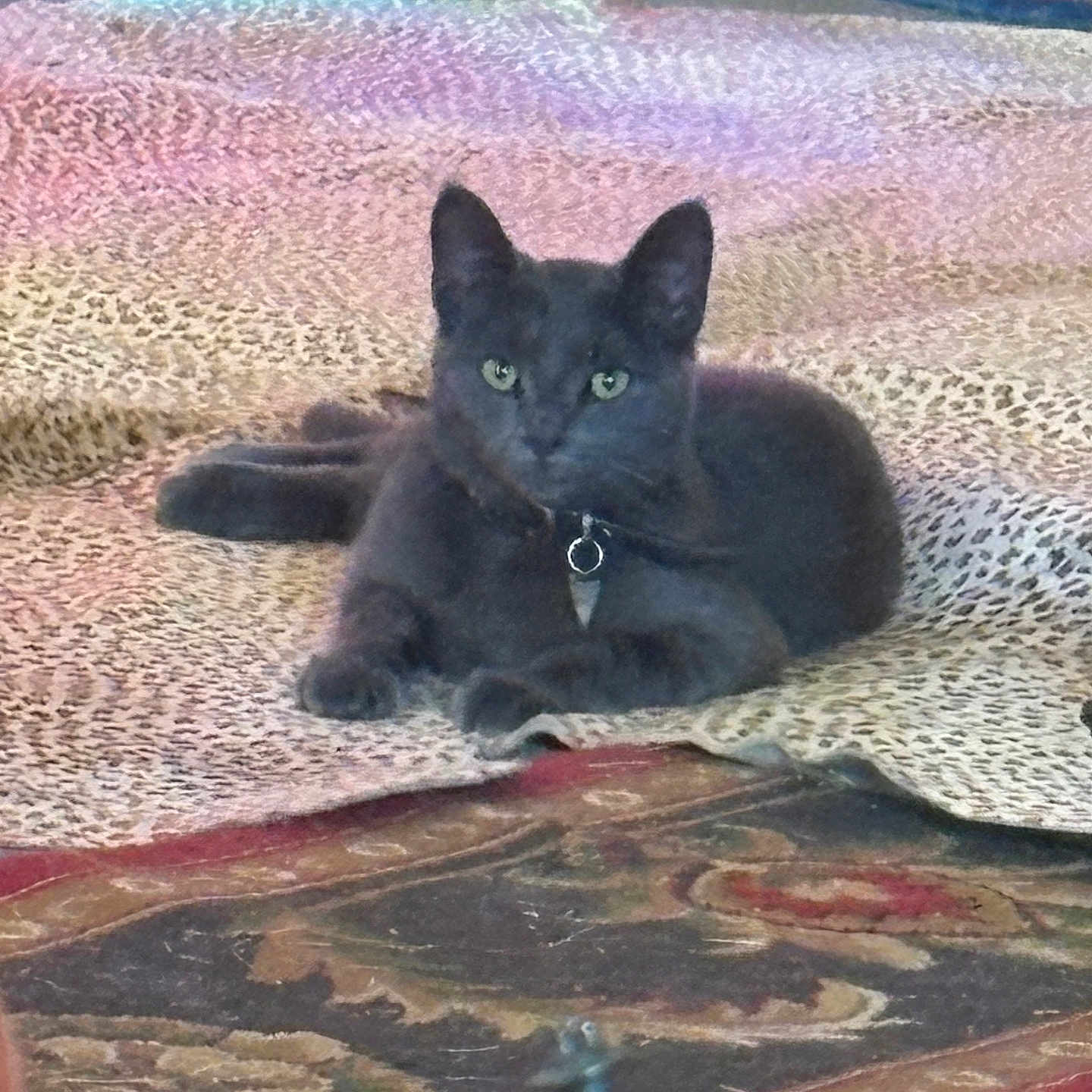 Smokey