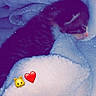 Nala participe au concours pour gagner de l'argent avec cette photo : kitten, cat, sleeping, blanket, soft, fluffy, cute, animal, pet, cozy, nap, blue, fur, small, resting, indoor, comfort, warm, adorable, young
