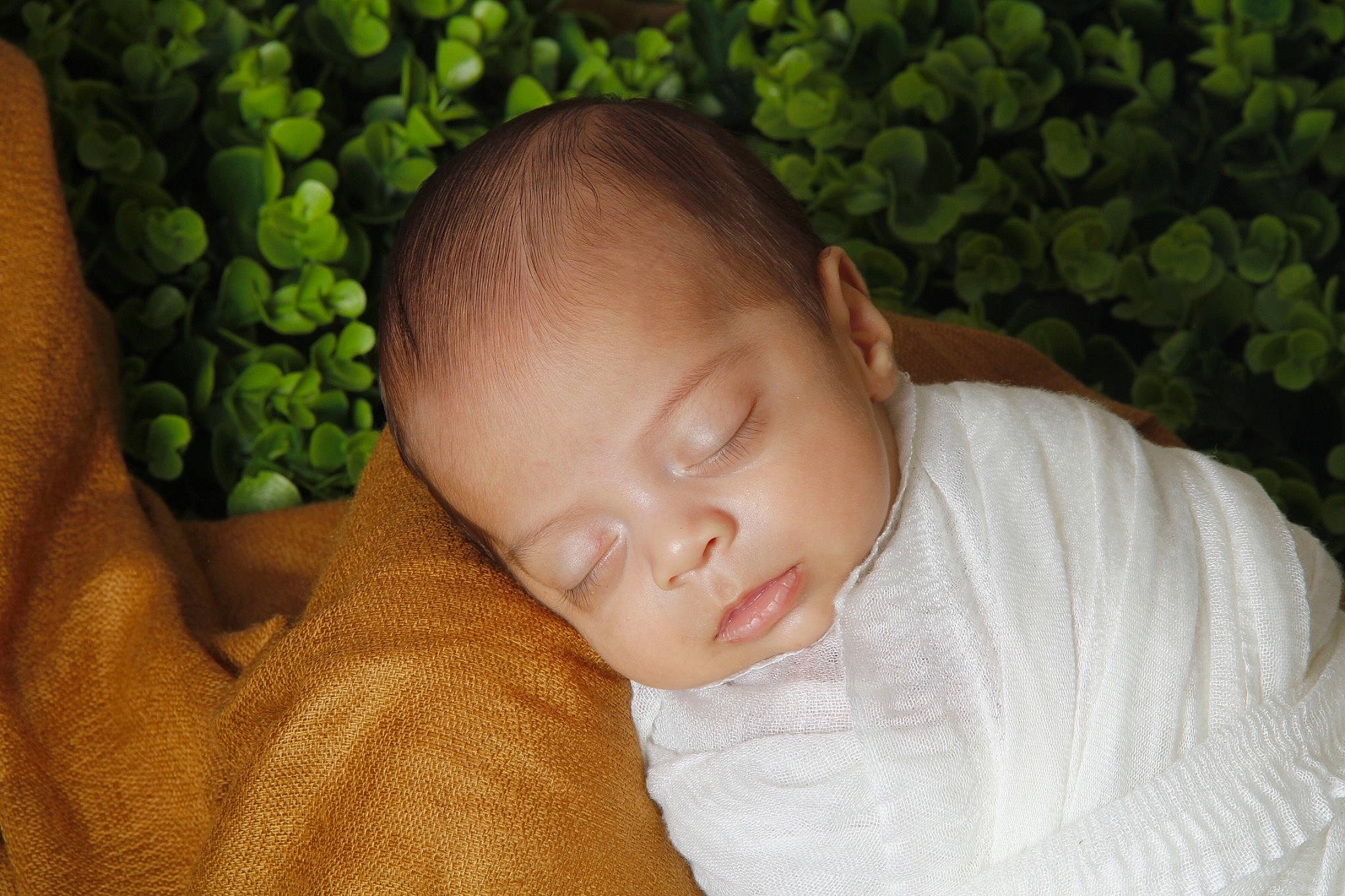 Saul is registered to the contest to win money with this photo: baby, cheek, child, ear, face, forehead, green, head, mouth, nap, nose, person, skin, sleep, toddler