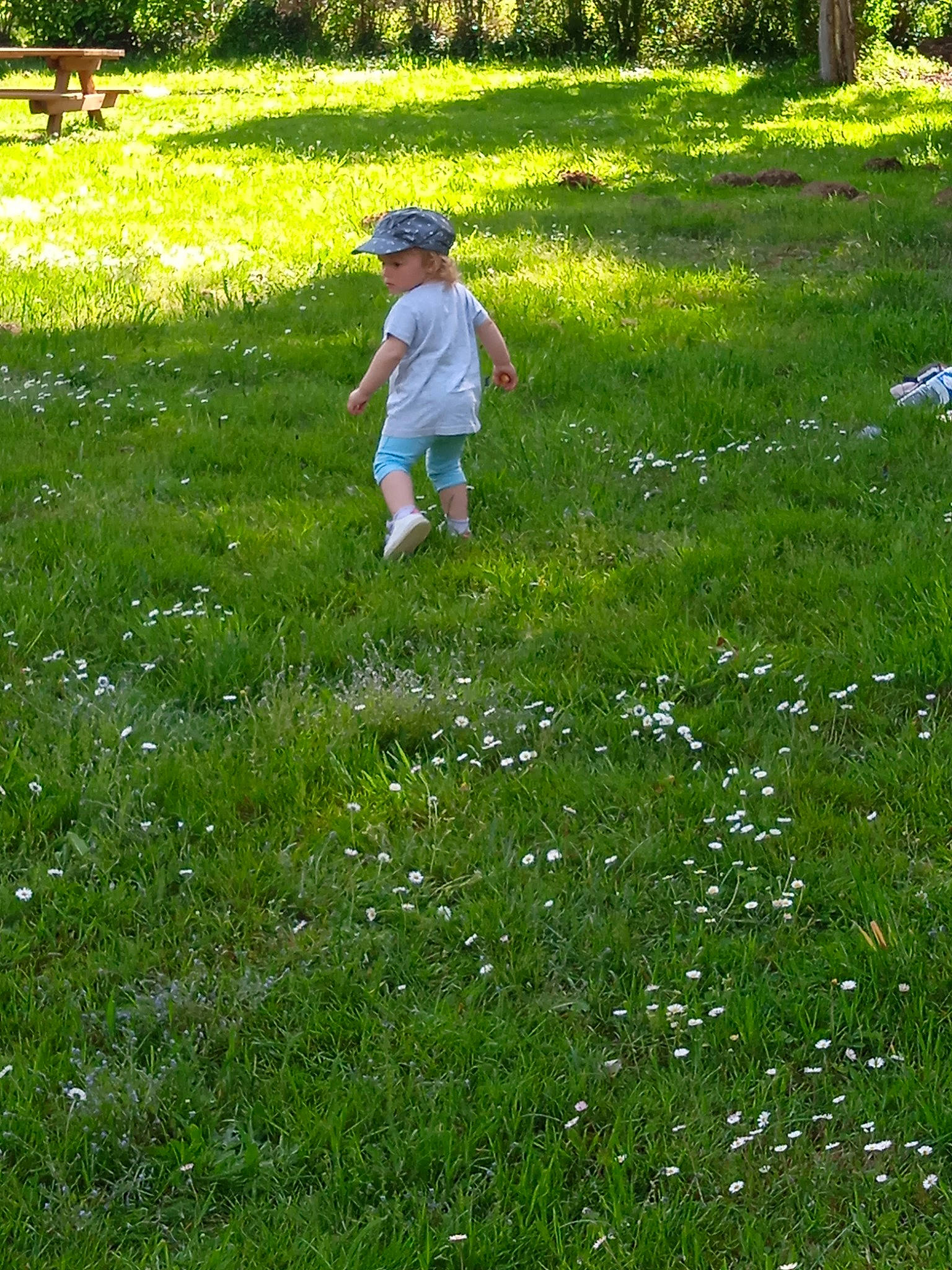 Maelys a rejoint le concours — aidez-le/la à gagner de superbes lots ! botany, child, flower, fun, grass, grass_family, grassland, green, groundcover, headwear, landscape, lawn, leisure, meadow, natural_landscape, people_in_nature, person, plant, recreation, shrub