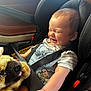 Jenson joined the competition — help win amazing prizes! baby, baby_face, car_interior, car_seat, car_window, child, child_in_car, clothing, cute, happy, infant, person, plush_toy, portrait, safety, seatbelt, seatbelt_buckle, smiling, striped_shirt, toy