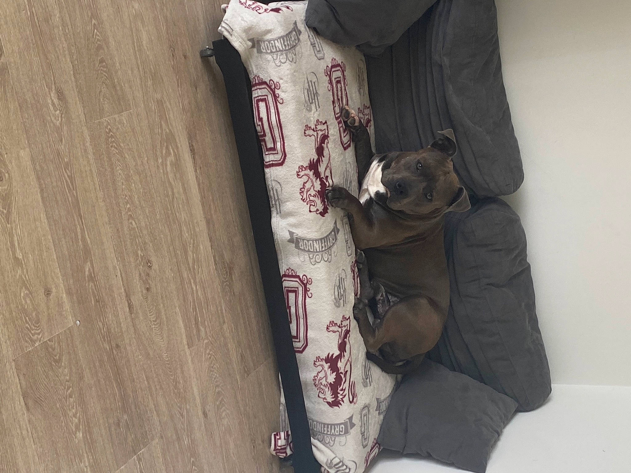 Tupac participe au concours pour gagner de l'argent avec cette photo : baby_toddler_clothing, carmine, collar, elbow, fashion_accessory, fashion_design, font, fur, hardwood, hood, leather_jacket, linens, outerwear, pattern, sleeve, street_fashion, t_shirt, visual_arts, waist, wood