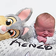 Kenzo participe au concours pour gagner de l'argent avec cette photo : adorable, baby, child, closeup, cozy, cute, infant, newborn, peaceful, pillow, pink_ears, plush_toy, portrait, rabbit, resting, sleeping, soft_lighting, soft_texture, stuffed_animal, white_background