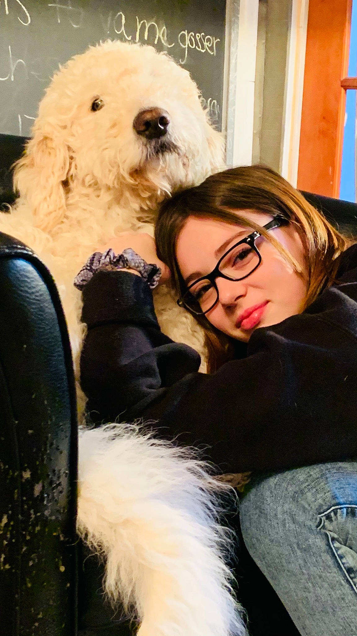 Kellyane a rejoint le concours — aidez-le/la à gagner de superbes lots ! carnivore, collar, comfort, companion_dog, denim, dog, dog_breed, eyewear, fur, glasses, glove, jeans, mammal, person, pet_supply, sitting, snout, sporting_group, stuffed_toy, toy