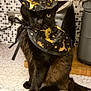 cat, black_cat, costume, witch_hat, cape, kitchen, countertop, tiled_backsplash, pet, animal, indoor, feline, sitting, black_fur, gold_pattern, decorative, holiday, cute, domestic, portrait