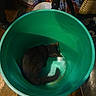 Charcoal joined the competition — help win amazing prizes! cat, black_cat, bucket, green_bucket, indoor, wooden_floor, household_items, curious, pet, animal, feline, container, floor, domestic, resting, clutter, cozy, tail, ears, quiet