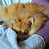 Hope participe au concours pour gagner de l'argent avec cette photo :