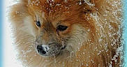 Hope participe au concours pour gagner de l'argent avec cette photo :