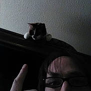 Pidgey joined the competition — help win amazing prizes! animal, cat, curious, dark, eyewear, face, furniture, glasses, hand, head, indoor, indoor_lighting, low_light, person, pet, pointing, portrait, shadow, texture, wall