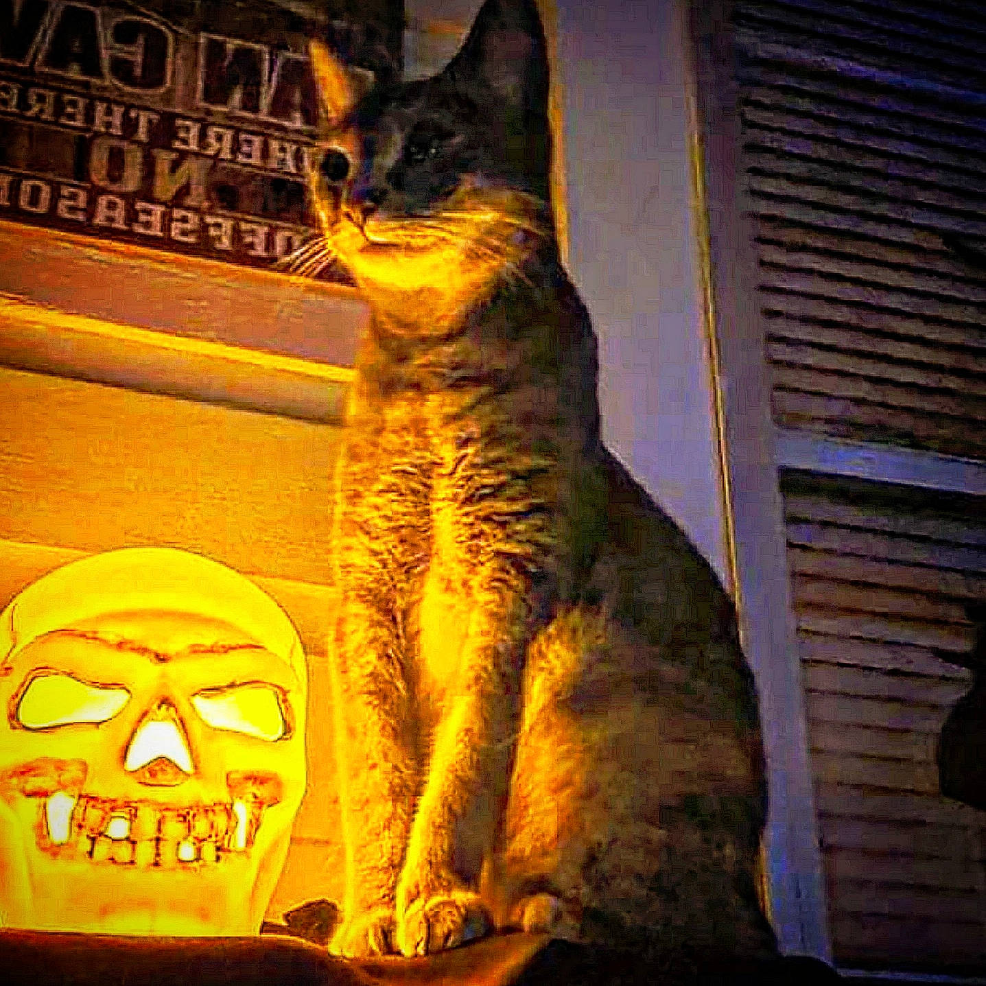 Ki Ki