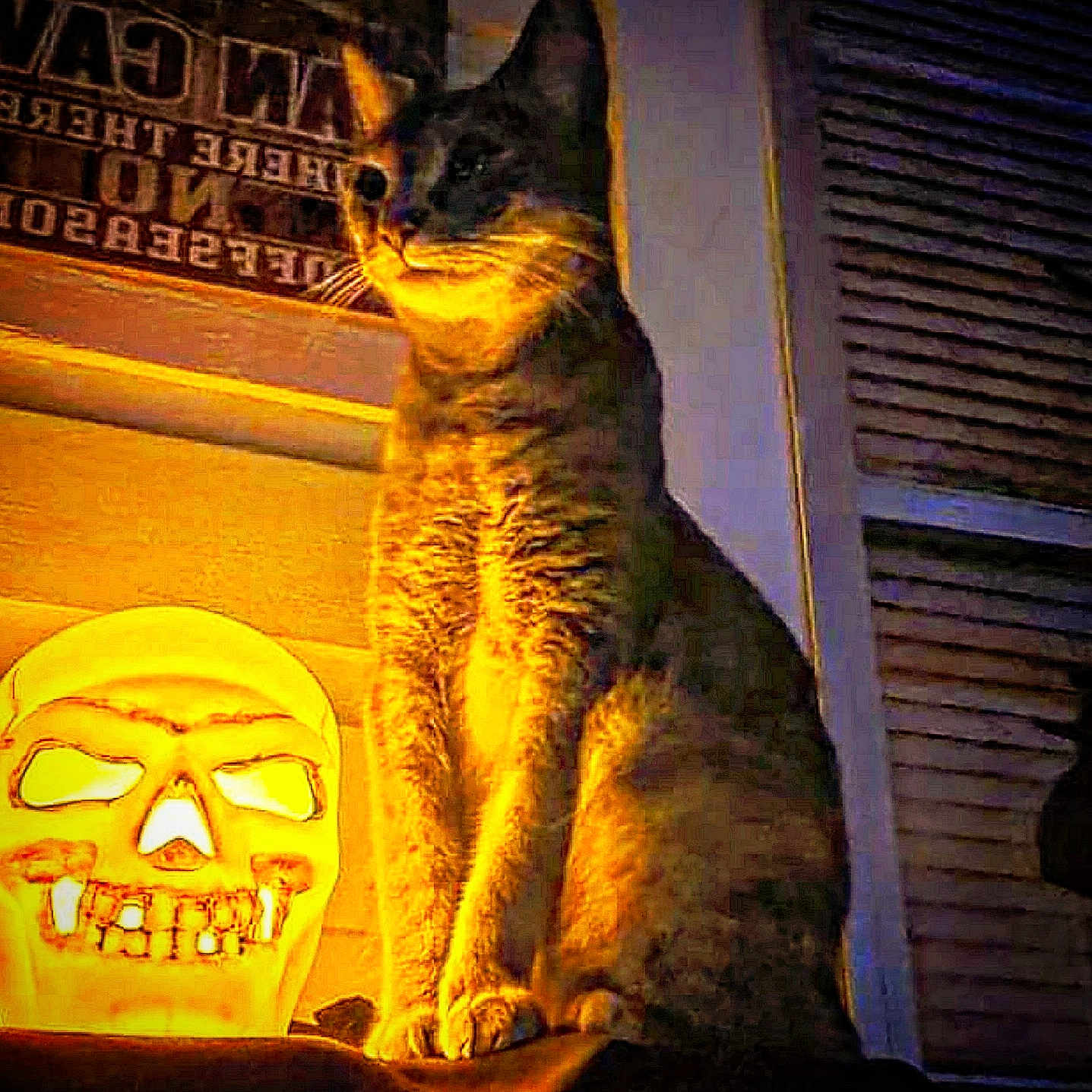 Ki Ki