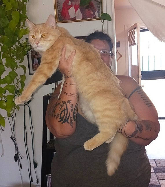 Theyoden King Theonidas