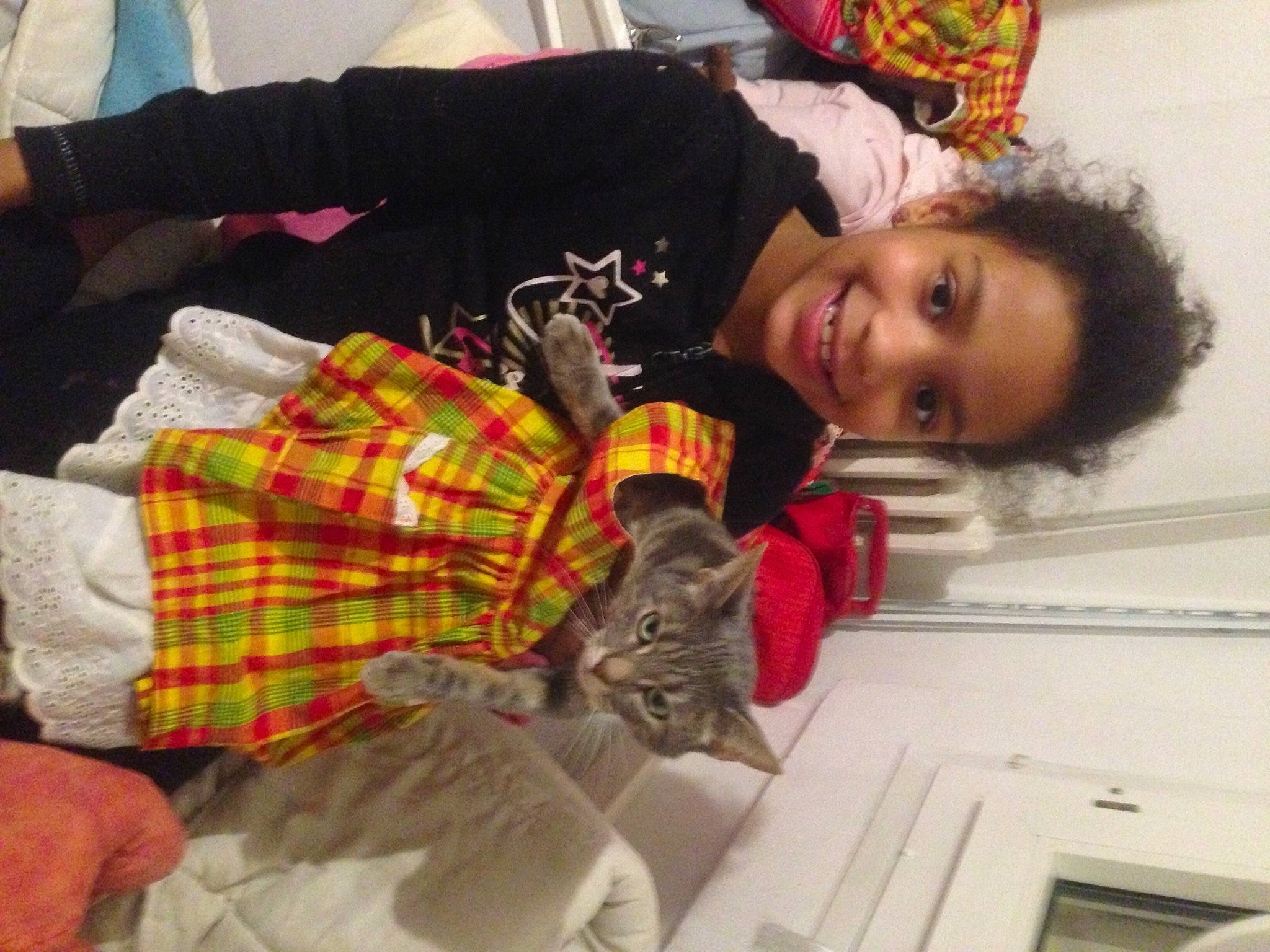 Mistigris participe au concours pour gagner de l'argent avec cette photo : child, comfort, couch, felidae, fun, fur, happy, linens, pattern, plaid, room, sitting, small_to_medium_sized_cats, smile, tartan, wool