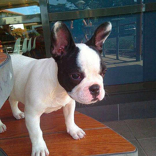 Juan participe au concours pour gagner de l'argent avec cette photo :