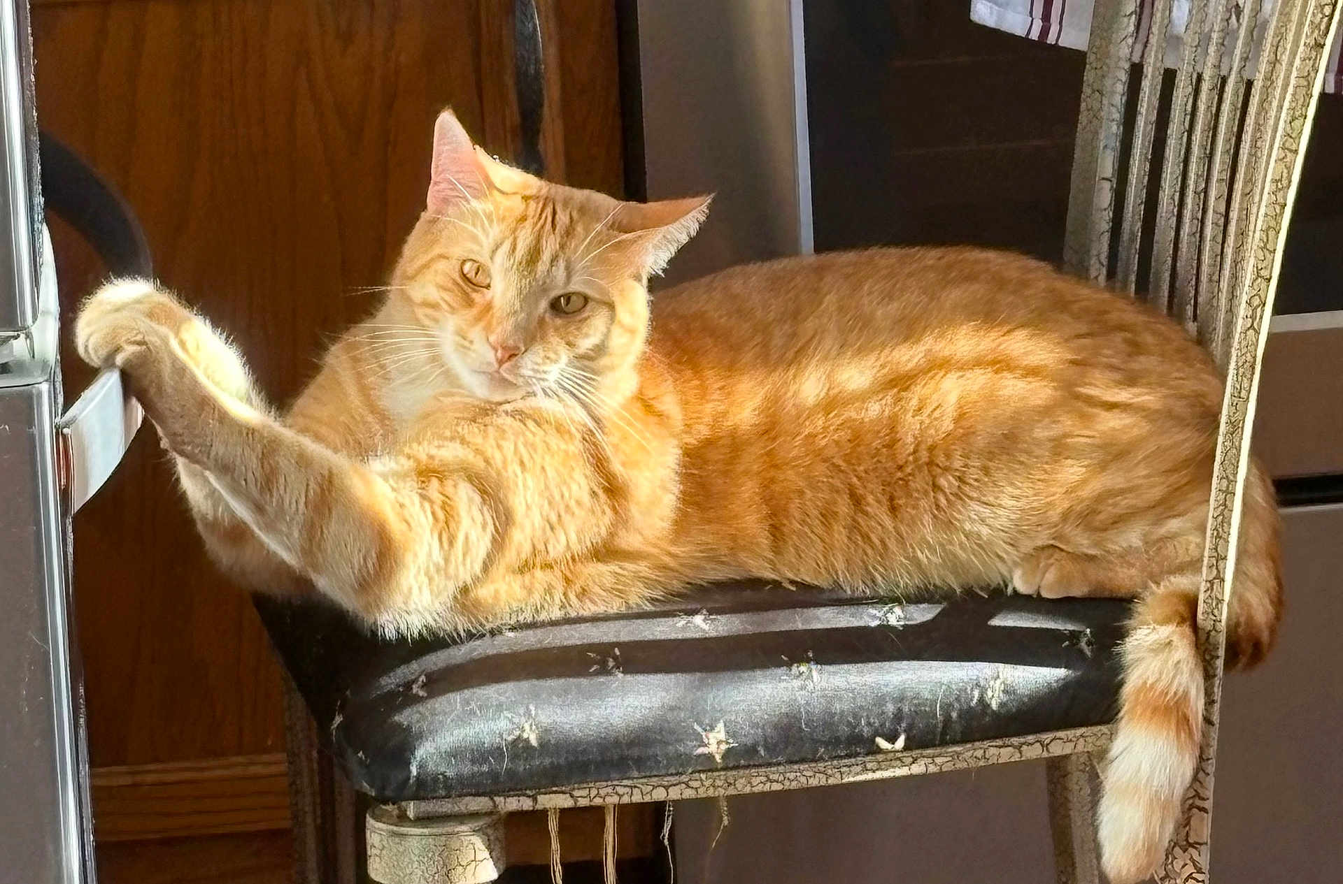 Astro