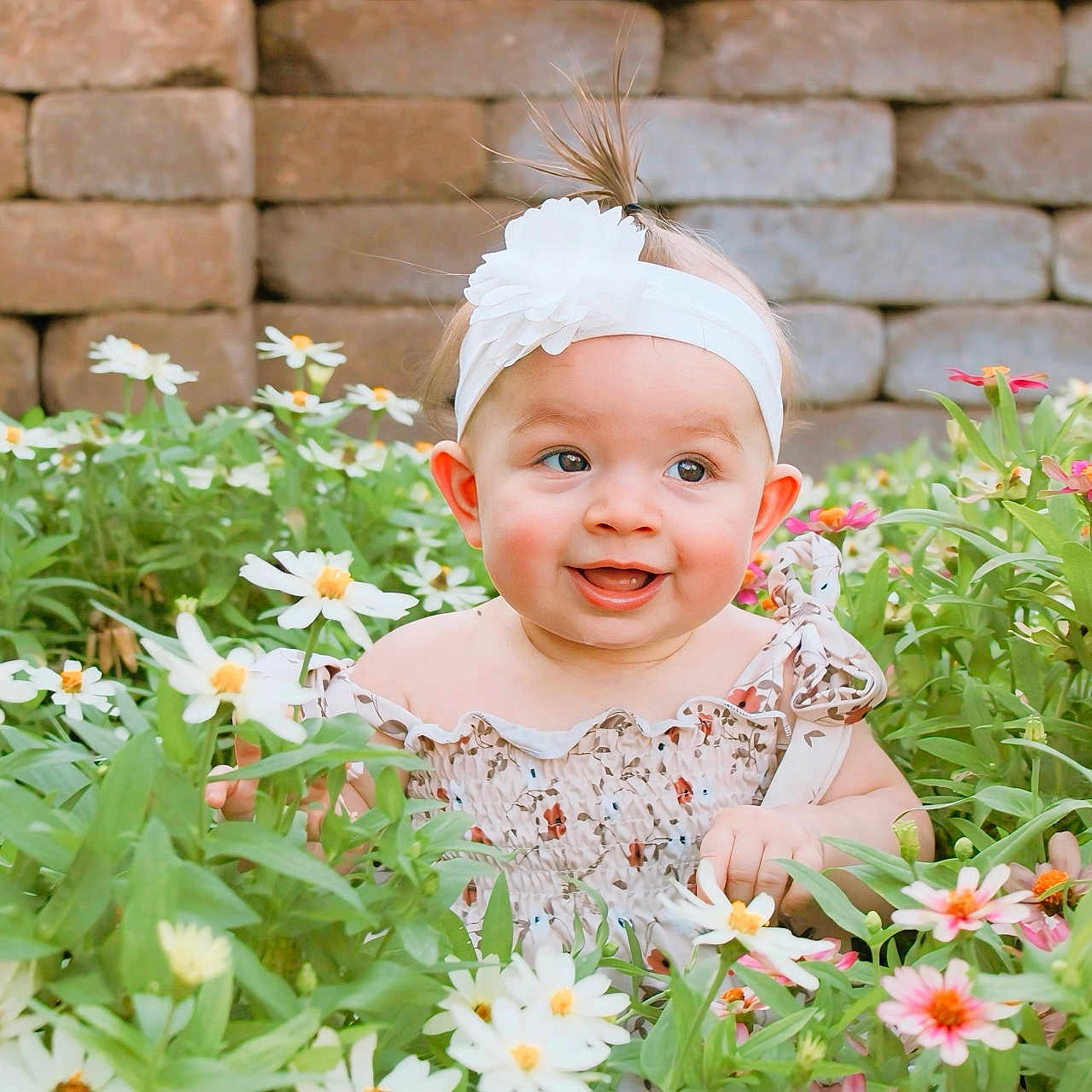 Sadie joined the competition — help win amazing prizes! anemone, baby, clothing, dahlia, daisy, dress, face, flower, geranium, grass, head, herbal, herbs, leaf, person, petal, photography, plant, portrait, pottedplant