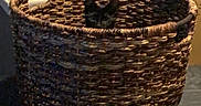 Mara joined the competition — help win amazing prizes! cat, basket, bedspread, keyboard, cardboard_box, indoor, curious, peeking, woven, pet, animal, feline, fur, ears, resting, home, cozy, room, furniture, container