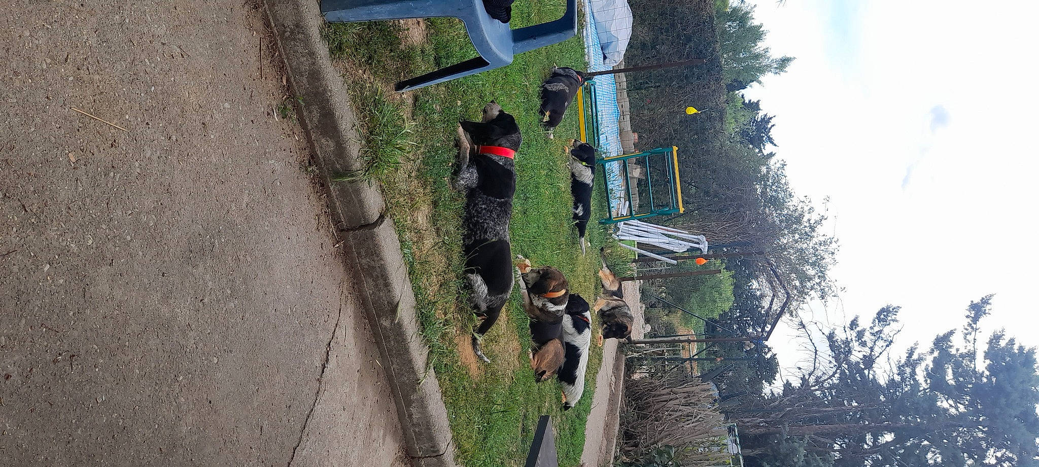 Floky a rejoint le concours — aidez-le/la à gagner de superbes lots ! adventure, cloud, concrete, fun, landscape, leisure, pedestrian, plant, pole, public_utility, recreation, road_surface, shadow, sky, slope, tire, transport, tree, urban_design