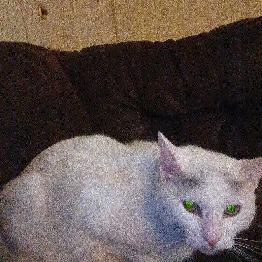 Marley
