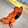 dog, golden_retriever, woman, smiling, hugging, sand, dune, sunset, sky, clouds, outdoor, nature, leash, happy, pet, animal, portrait, warm_light, vacation, companion