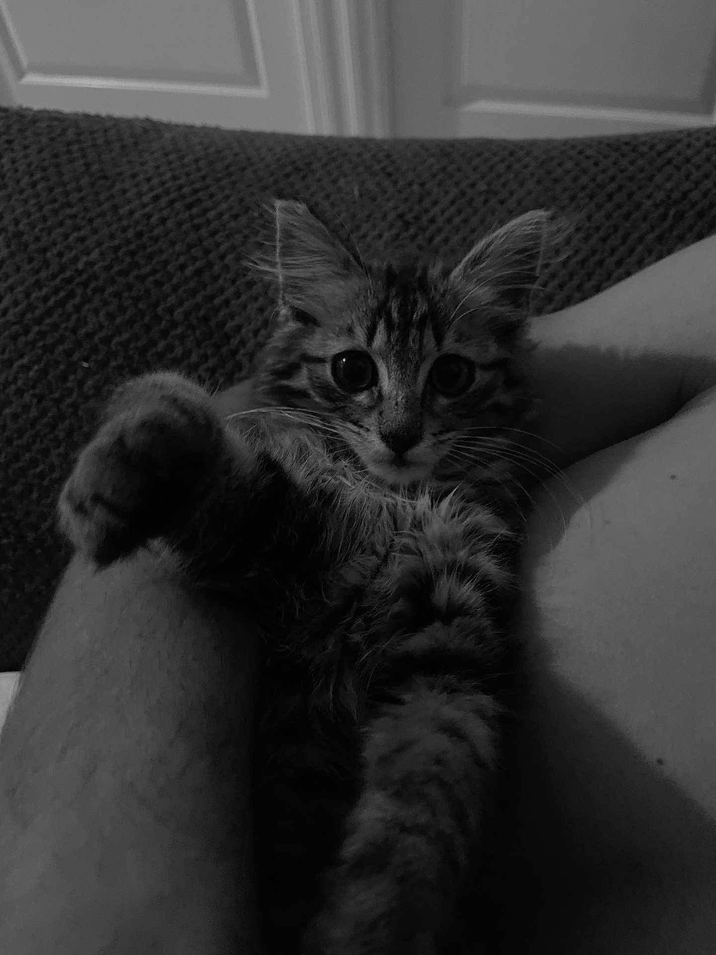 Doby