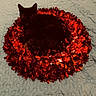 black_cat, cat, tinsel, red, wreath, quilted_blanket, indoor, pet, animal, feline, cozy, resting, curled_up, decor, holiday, soft_texture, shiny, contrast, close_up, cute