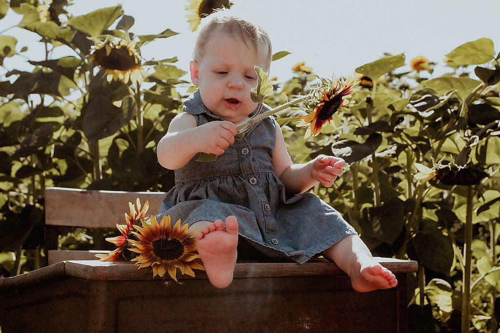Elliemae joined the competition — help win amazing prizes! autumn, baby, baby_toddler_clothing, botany, child, floral_design, flower, fun, garden, grass, happy, leaf, people_in_nature, person, plant, portrait_photography, sitting, spring, sunflower, toddler