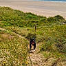 animal, beach, clouds, coast, daytime, dog, grass, hill, landscape, nature, ocean, outdoor, path, sand, scenic, sky, summer, vacation, walking, water