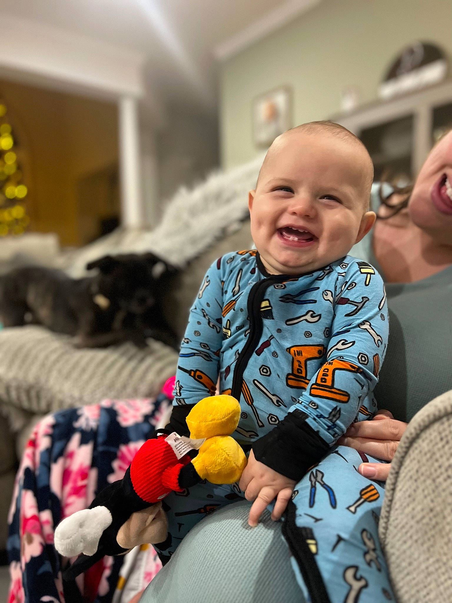 Crew is registered to the contest to win money with this photo: baby, baby_products, baby_toddler_clothing, child, comfort, couch, event, fun, fur, happy, joy, laugh, person, plant, room, rose, sitting, skin, smile, stuffed_toy