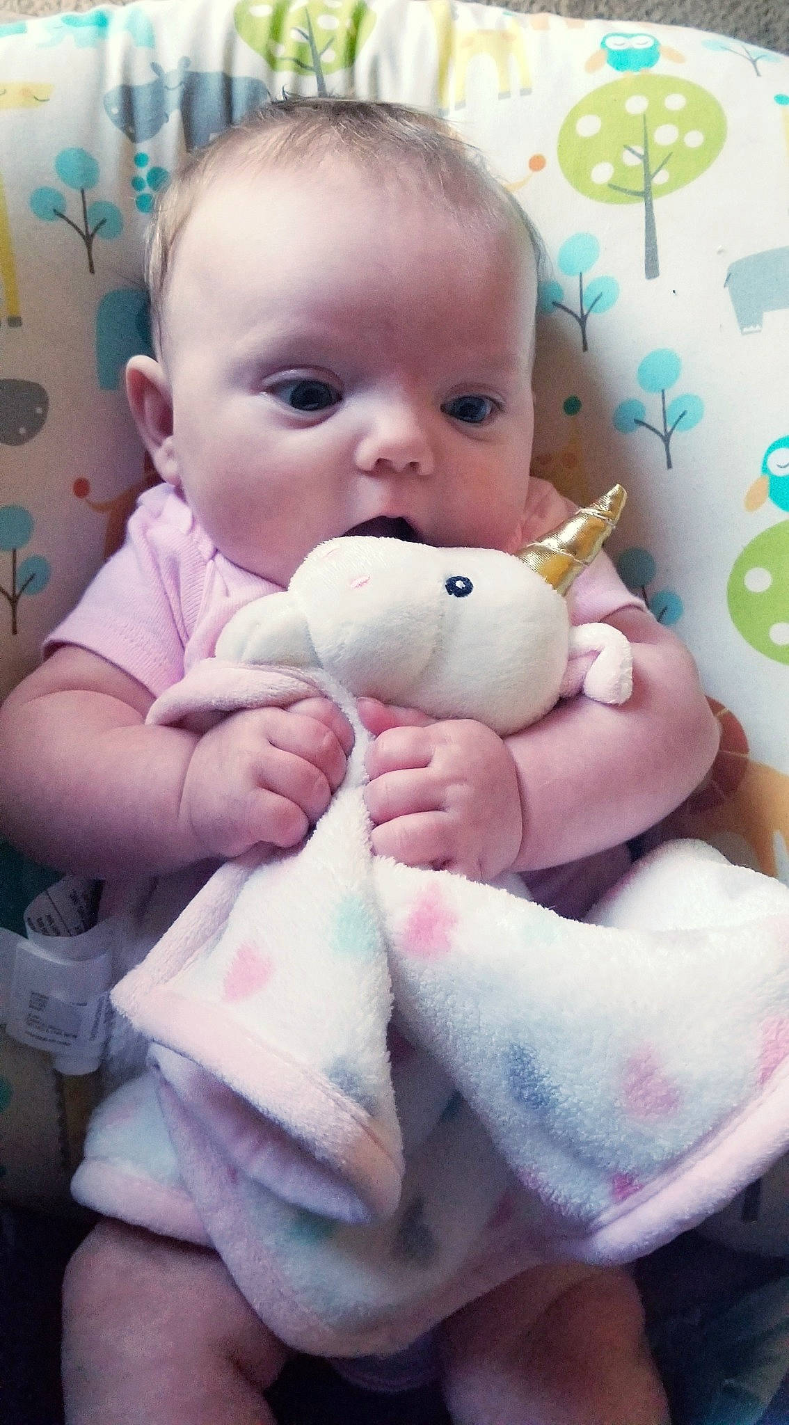 Karsyn is registered to the contest to win money with this photo: baby, baby_products, baby_toys, cheek, child, person, skin, stuffed_toy, toddler, toy