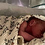 Noah participe au concours pour gagner de l'argent avec cette photo : newborn, baby, sleeping, blanket, floral_pattern, crib, hospital, infant, wrapped, peaceful, soft, skin, head, ear, arm, closeup, resting, indoors, quiet, tender