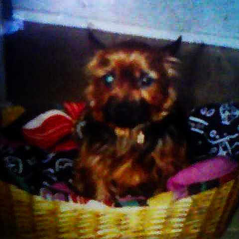 Jackson