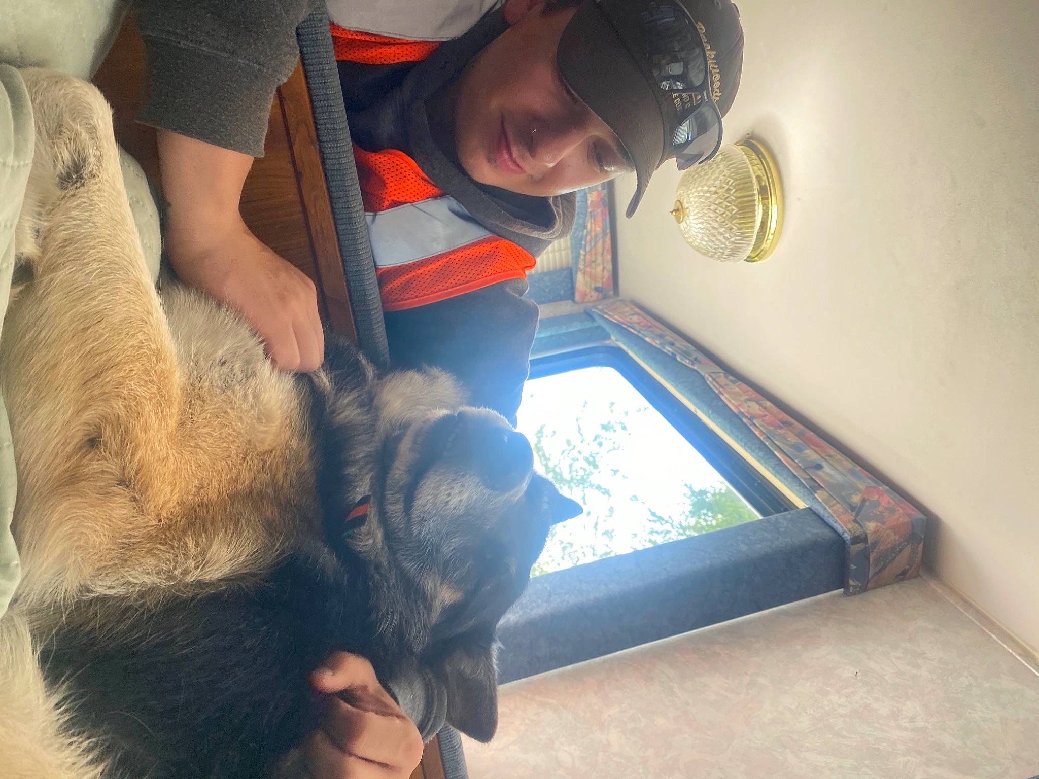 Chase is registered to the contest to win money with this photo: baseball_cap, canidae, cap, carnivore, companion_dog, dog_breed, domestic_short_haired_cat, fawn, felidae, fish, flooring, fur, hat, lion, small_to_medium_sized_cats, sporting_group, t_shirt, whiskers, wildlife_biologist, wood