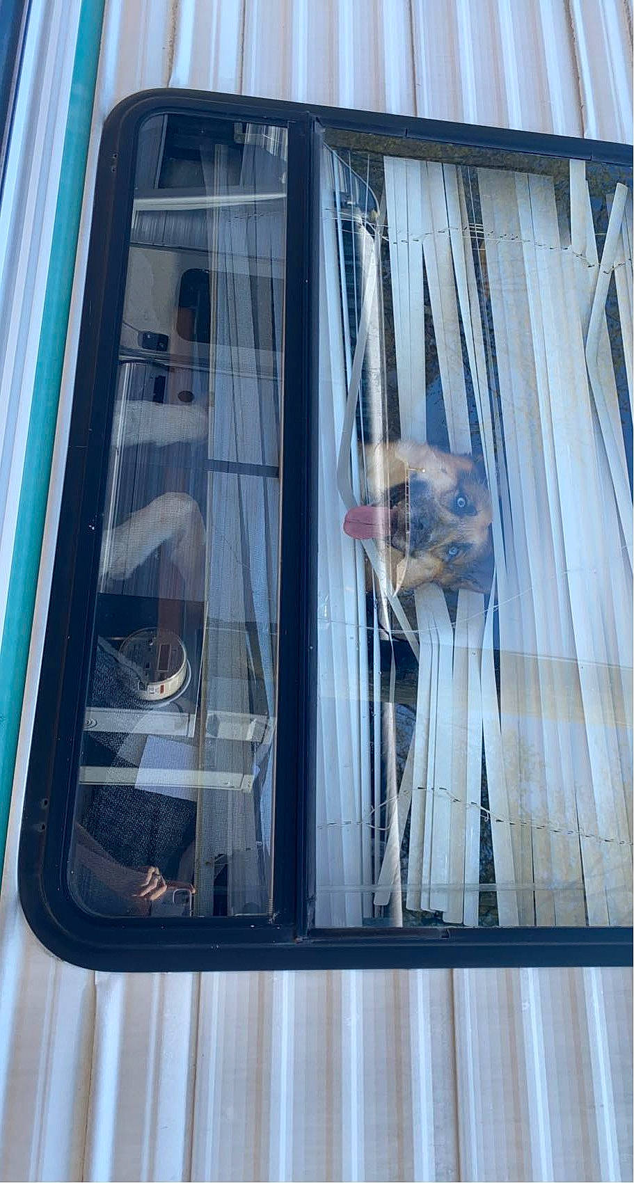 Puppy is registered to the contest to win money with this photo: automotive_exterior, automotive_lighting, automotive_window_part, building, curtain, facade, glass, metal, motor_vehicle, rectangle, reflection, sash_window, transparency, transparent_material, vehicle_door, window, window_treatment, windscreen_wiper, windshield, wood