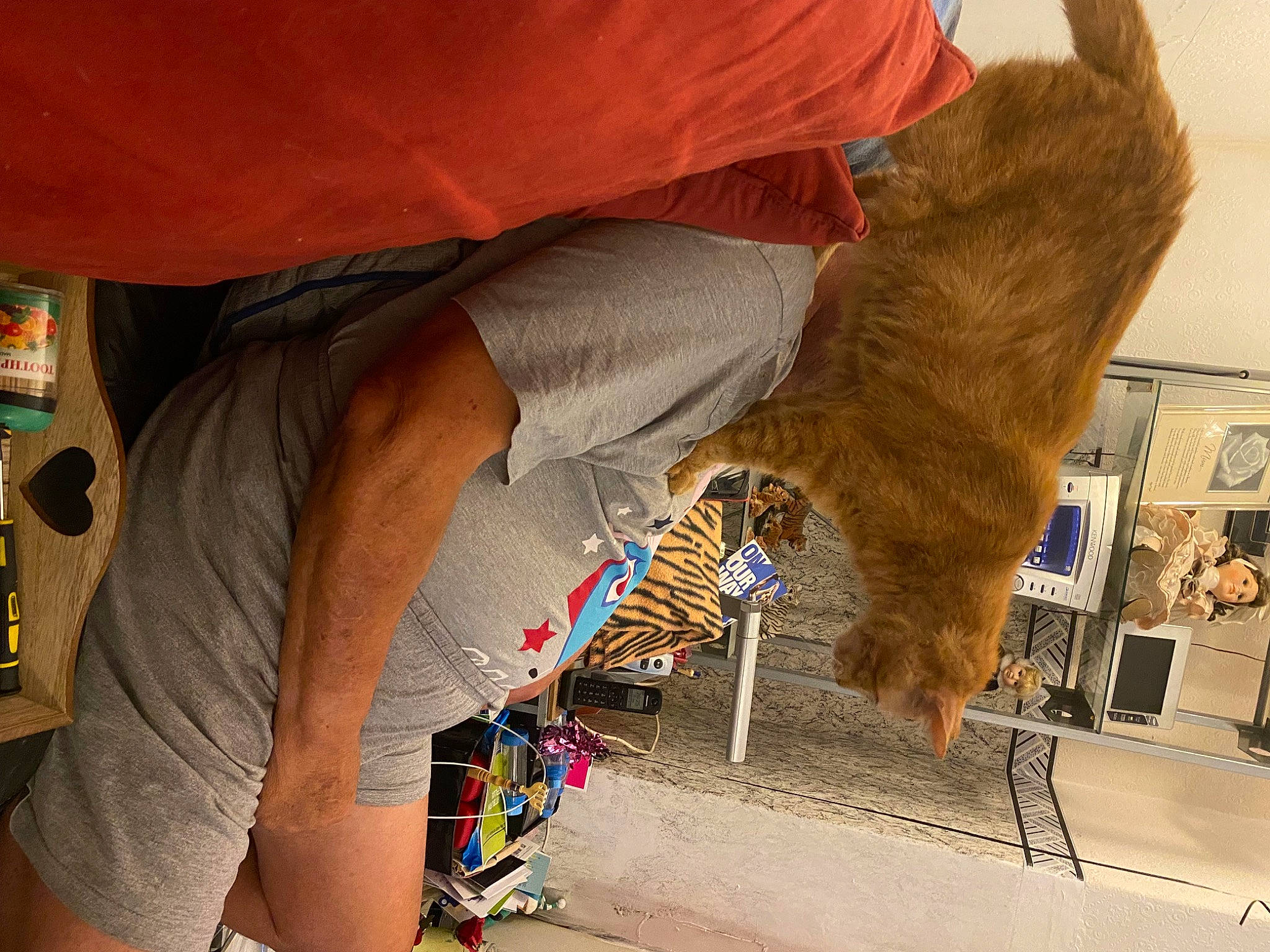 Ben is registered to the contest to win money with this photo: art, artist, domestic_short_haired_cat, elbow, felidae, flooring, fun, fur, human_leg, landscape, nail, picture_frame, sand, small_to_medium_sized_cats, t_shirt, tail, thigh, visual_arts, working_animal, wrist