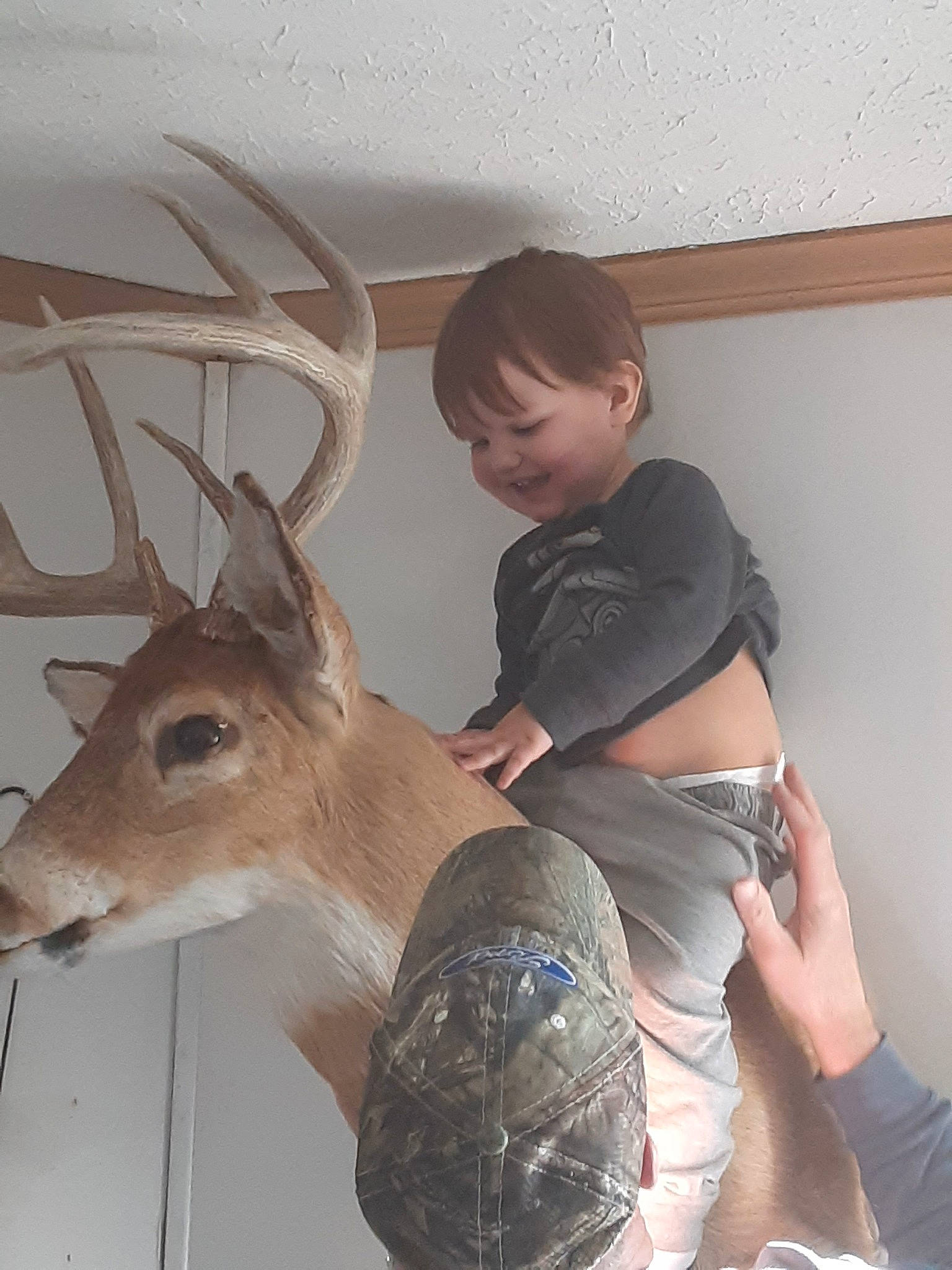 Maverick joined the competition — help win amazing prizes! antler, deer, deer_hunting, ear, fawn, horn, joy, person, recreation, white_tailed_deer, wildlife, wildlife_biologist