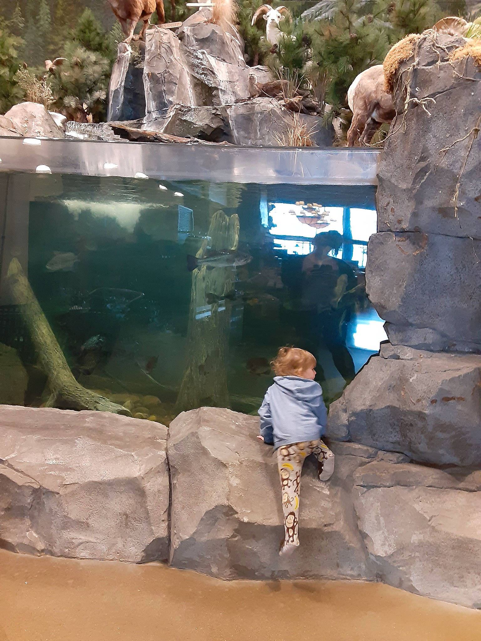 Sapphira is registered to the contest to win money with this photo: formation, leisure, person, recreation, rock, vacation, water, zoo