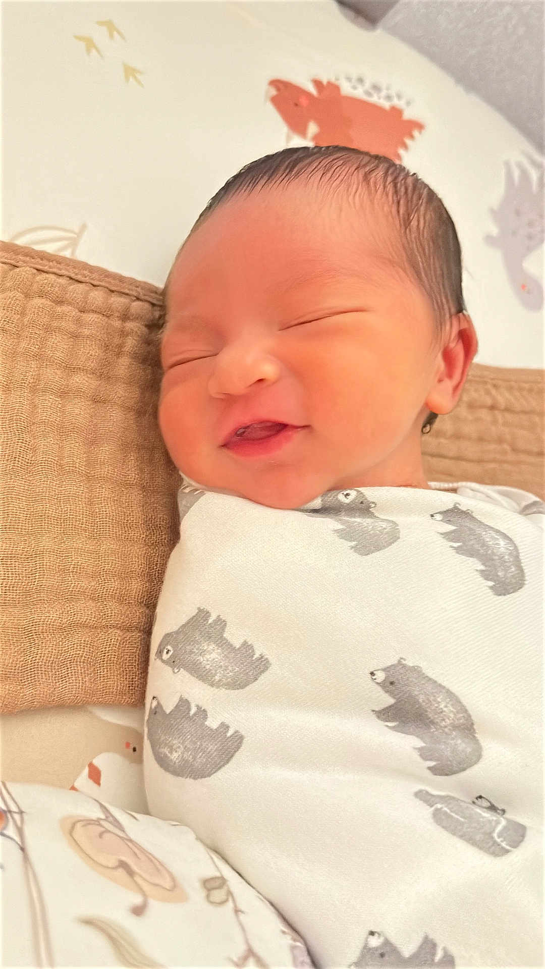 Hezekiah is registered to the contest to win money with this photo: newborn, baby, infant, sleeping, smiling, wrapped, blanket, bear_pattern, cushion, nursery, soft_lighting, cute, face, head, peaceful, indoors, young_child, resting, cozy, portrait