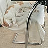 Bonnie participe au concours pour gagner de l'argent avec cette photo : animal, cat, chair, chrome, furniture, home, indoor, lying_down, nap, office, orange_patches, paws, pet, relaxed, sleeping, tail, tile_floor, whiskers, white_cat, white_fabric