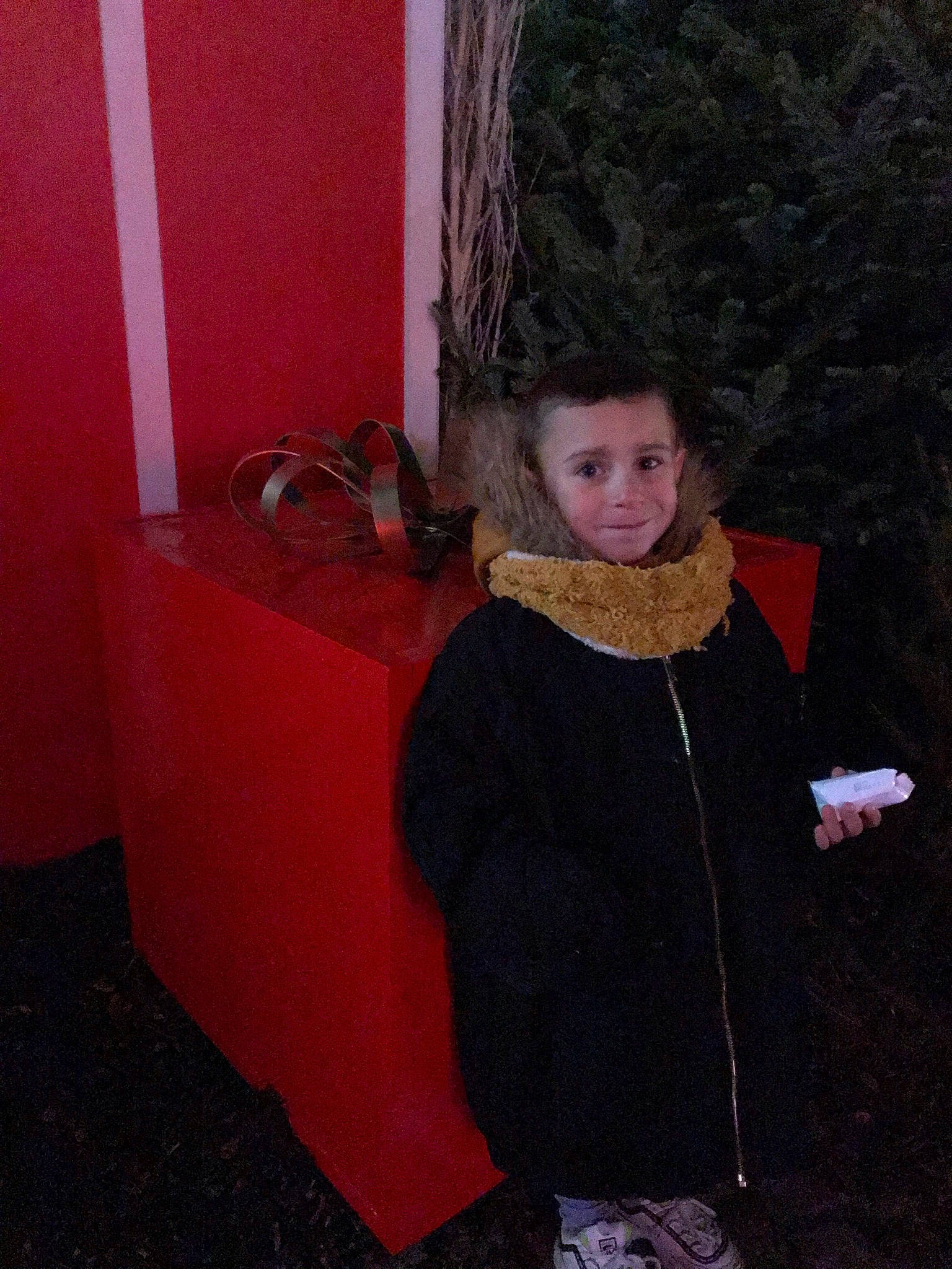 Ali a rejoint le concours — aidez-le/la à gagner de superbes lots ! carpet, costume, event, fashion_accessory, fashion_design, flooring, formal_wear, fun, fur, fur_clothing, jewellery, person, room, scarf, sitting, street_fashion, tree, vintage_clothing, winter, wood