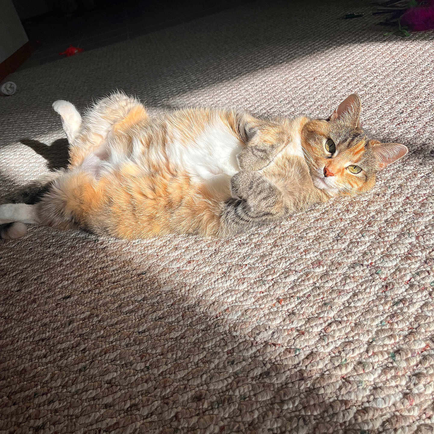 Kiki
