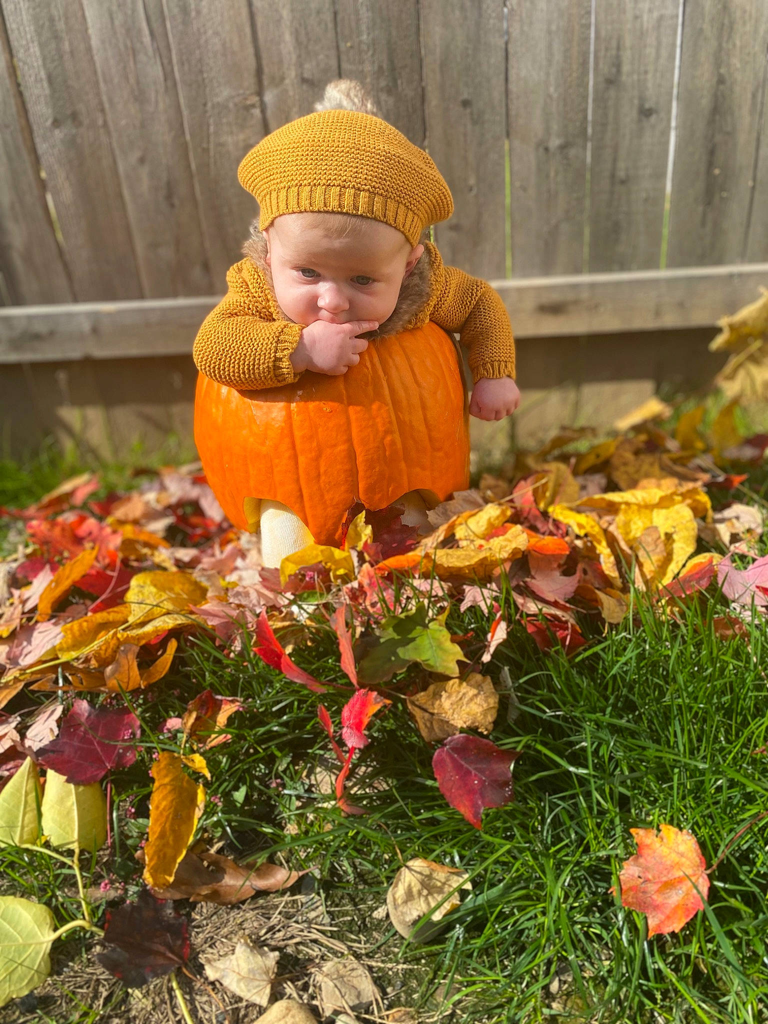 Liberty is registered to the contest to win money with this photo: autumn, calabaza, child, cucurbita, deciduous, garden, gourd, grass, groundcover, headwear, leaf, local_food, natural_foods, people_in_nature, person, plant, pumpkin, squash, toddler, tradition