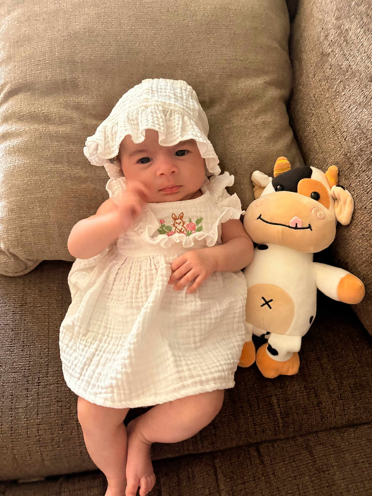 Aurora joined the competition — help win amazing prizes! baby, infant, white_dress, bonnet, plush_toy, cow_plush, couch, brown_couch, soft_fabric, cute, child, indoors, relaxed, portrait, smiling, toy, comfort, seated, looking_at_camera, cozy