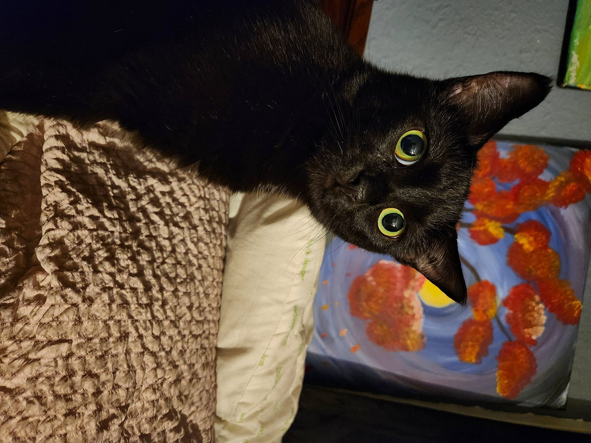 Marilyn Aka Norma Jean