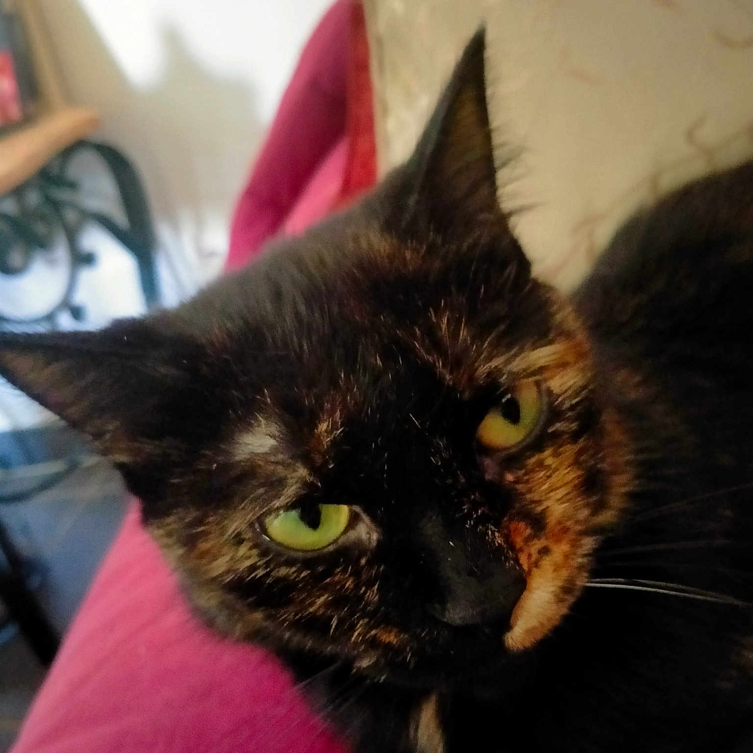 Lilie