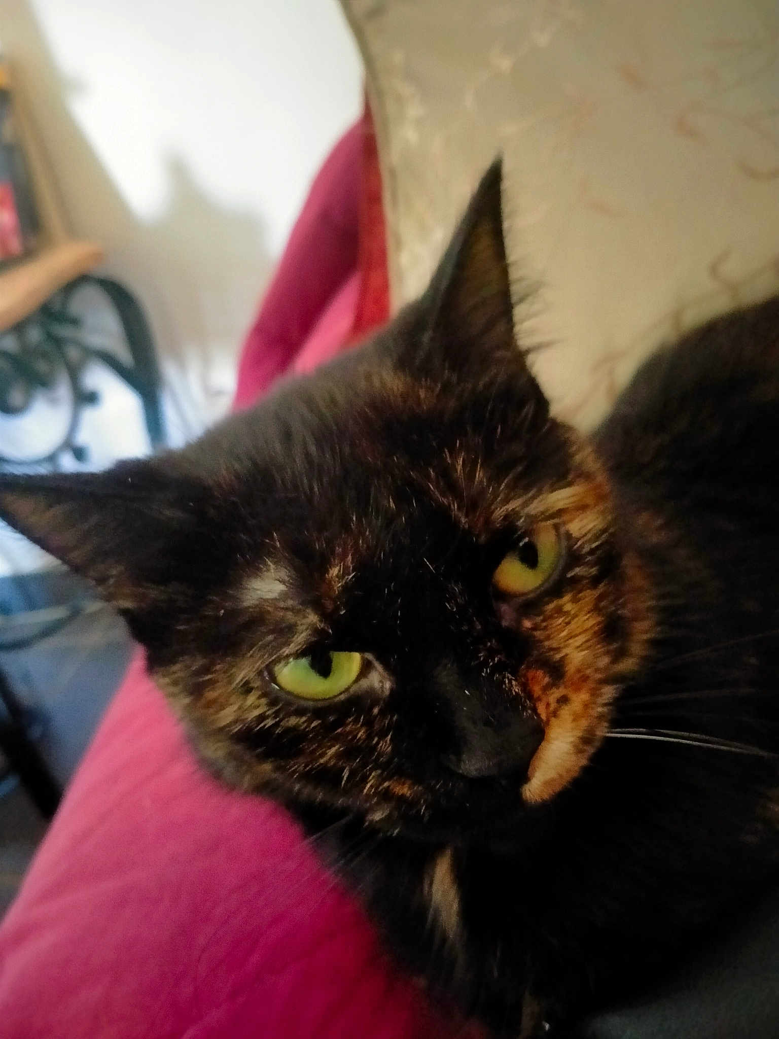 Lilie