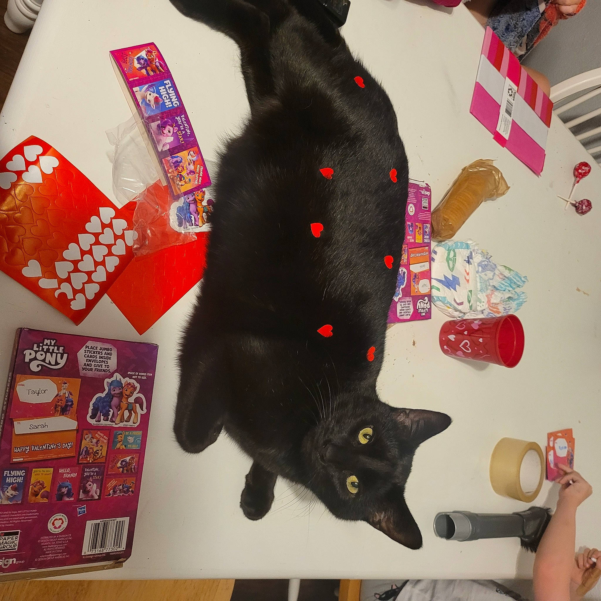 Baloo is registered to the contest to win money with this photo: black_cat, carmine, carnivore, cat, comfort, fashion_accessory, felidae, fur, gesture, linens, pattern, plush, room, small_to_medium_sized_cats, stuffed_toy, tail, textile, toy, visual_arts, whiskers
