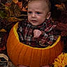 baby, pumpkin, plaid_shirt, fall, autumn, leaves, flower, child, cute, seasonal, holiday, orange, decoration, sitting, portrait, indoor, festive, nature, young, curious